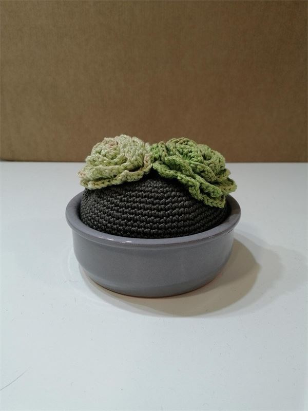 Suculenta amigurumi - Imagen 1